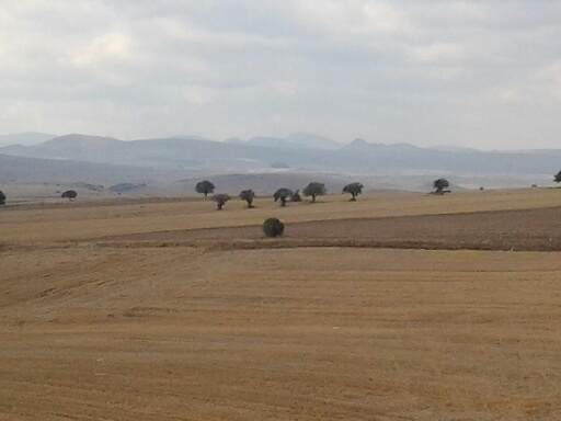 Turquie - Atkarakalar paysage
